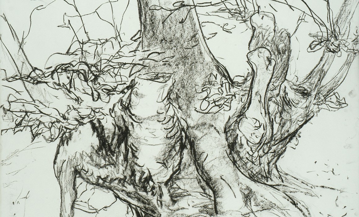 Jörg Langhans, les arbres,Henri Michaux,extrait